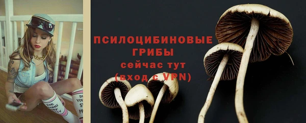круглые Каменногорск