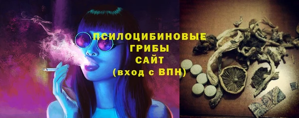 круглые Каменногорск